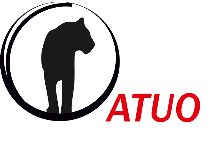 Atuo – systemy ochrony
